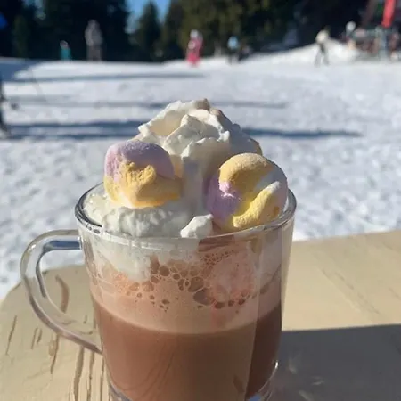 Kamena Хотел 3*