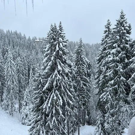 Kamena Хотел 3*