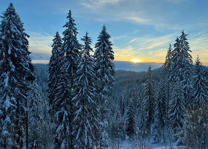 Kamena Otel Pamporovo