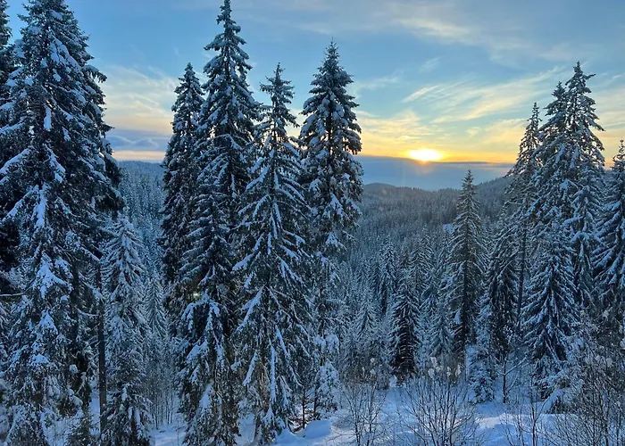 Hotel Kamena Pamporovo